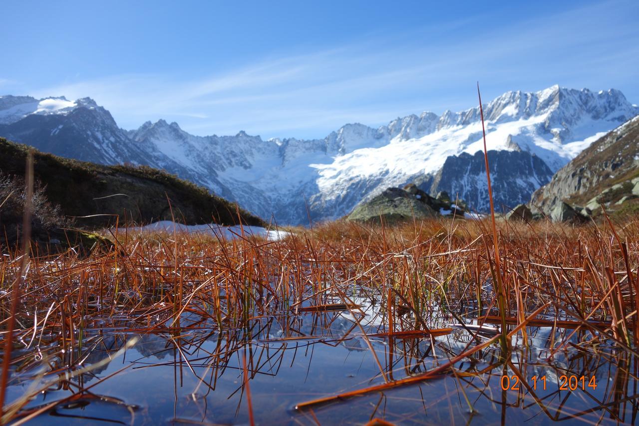 Gasthaus Goescheneralp Göschenen Zewnętrze zdjęcie